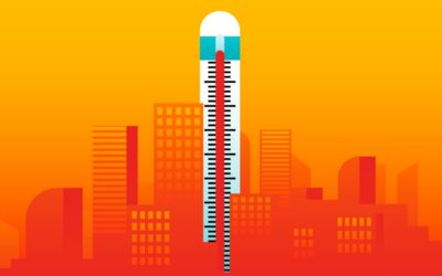 MOOI 2026 call: Hittebestendig NL2040